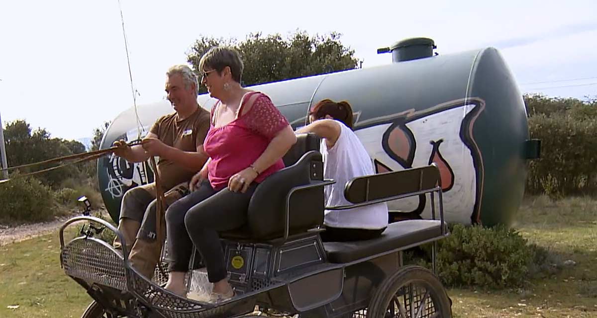 L’amour est dans le pré : Stéphane évite un accident de cheval, Laure et Laurence déçues