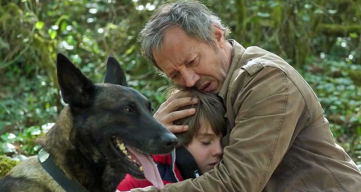 Audiences TV Prime (samedi 24 mai 2025) : Le voyageur puissant, la finale PSG / Reims fait mieux que Qui veut gagner des millions ? Audiences TV Prime (samedi 24 mai 2025) : Le voyageur puissant, la finale PSG / Reims fait mieux que Qui veut gagner des millions ?