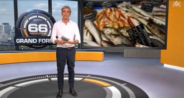 Audiences TV Access (dimanche 25 avril 2021) : Les Enfants de la télé en forme, 66 minutes et C Politique s'écroulent, Sept à Huit toujours plus haut