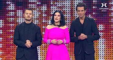 Programme TV de ce soir (samedi 14 mai 2022) : The Voice (TF1), Alvan & Ahez à l'Eurovision (France 2), Les rois de la piscine en inédit (6ter)...