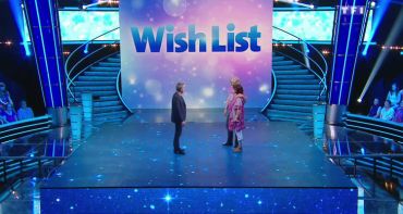 Audiences Access (6 au 10 juillet 2015) : 1ère mission remplie pour WishList (TF1) et Chasseurs d'appart (M6)