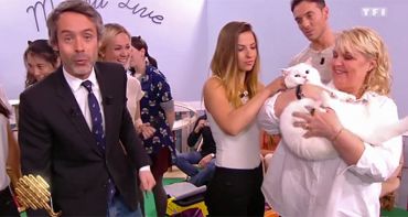 Quotidien : la spéciale chiens et chats moins fédératrice que le tatouage en deuxième partie de soirée sur TF1