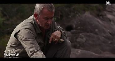 Audiences TV du lundi 12 juin 2017 : Christophe Dechavanne séduit dans A l'état sauvage, Esprits criminels leader, Camping 2 à haut niveau sur TMC