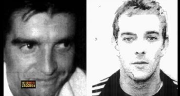 Faites entrer l'accusé : le gang des souris vertes de Laurent Cocogne et Serge Quemin, un suicide en bout de course