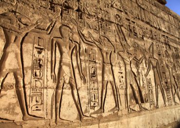 Retour Aux origines avec Planète +
