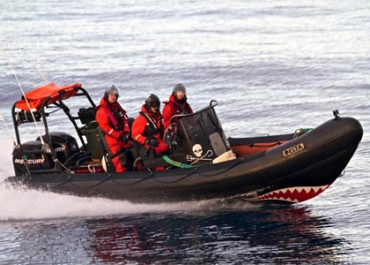 Paul Watson, le justicier des mers à la rescousse des baleines