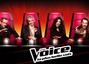 The Voice, Koh Lanta, L'amour est dans le pré : les programmes les plus rentables