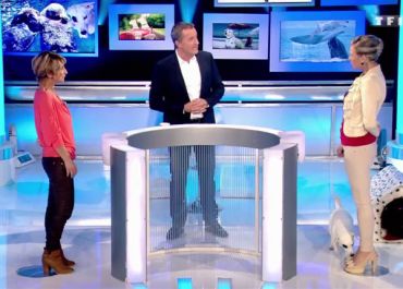 Face à la détresse de France 2, TF1 se frotte les mains en access