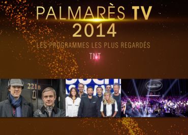 Palmarès TNT : Sherlock, Touche pas à mon poste et Les Anges de la télé-réalité au top des audiences en 2014