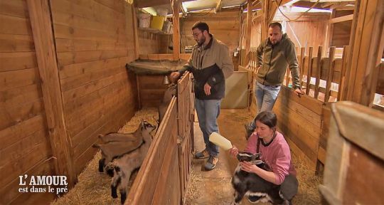 L’amour est dans le pré : Anaïs craque finalement pour Thomas, ce geste qui pourrait tout changer avec Romain