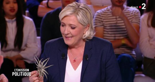 L’émission politique : la plante (tillandsia) de Marine Le Pen intrigue Léa Salamé et le public, quelle audience pour la leader du FN ?