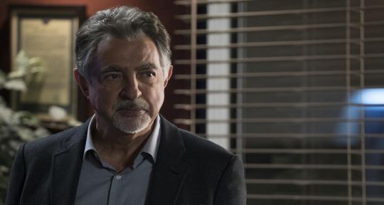 Joe Mantegna (David Rossi, Esprits Criminels) : « Il est important de continuer la série dans l’harmonie »