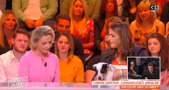 C’est que de la télé : Valérie Bénaïm accueille le chien de Benjamin Castaldi, C8 gagnante en audience ?