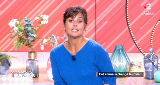 Ca commence aujourd’hui / Je t’aime etc / Affaire conclue (audiences) : triple record historique pour Faustine Bollaert, Daphné Burki et Sophie Davant