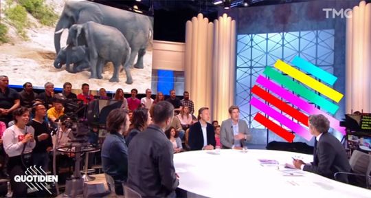 Quotidien : Yann Barthès fait chuter TPMP, Stéphane Bern défend Emmanuel Macron