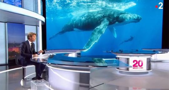 Audiences JT (dimanche 27 janvier 2019) : Anne-Claire Coudray écrase Laurent Delahousse, Nathalie Renoux fragilisée