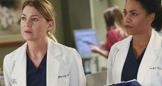 Grey’s Anatomy (saison 15, TF1) : une fin programmée par Ellen Pompeo (Meredith) ? 