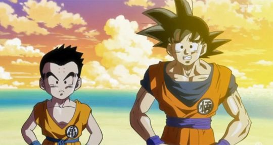 Dragon Ball Super : Goku prêt pour l’Arc Survie de l’Univers, les 25/34 ans en redemandent