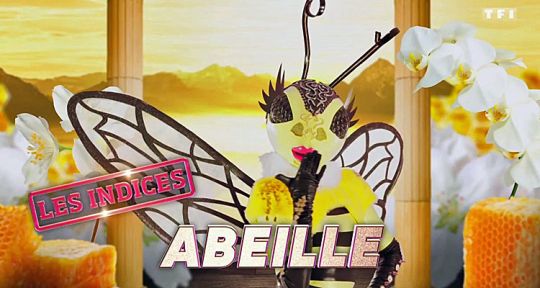 Mask Singer (TF1) : Qui est l’abeille ? Tous les indices dévoilés pour trouver la célébrité dans le costume