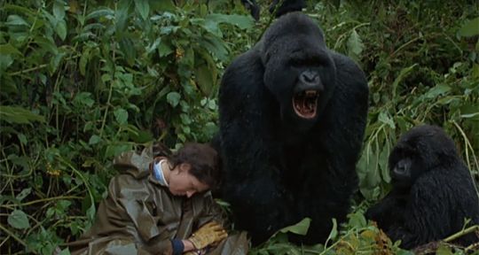 Programme TV du lundi 20 janvier 2020 : Gorilles dans la brume (Arte), Oblivion avec Tom Cruise (TMC), Sam (TF1)...
