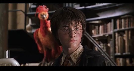 Audiences TV prime (mardi 21 avril 2020) : Harry Potter coule Tom Hanks et M6, Tandem revient en forte hausse