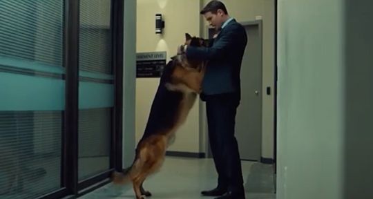 Hudson et Rex (France 3) : le chien-flic sauvé de la mort par John Reardon