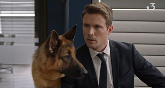 Hudson et Rex (France 3) : comment John Reardon a préparé le chien pour le tournage de la série ?