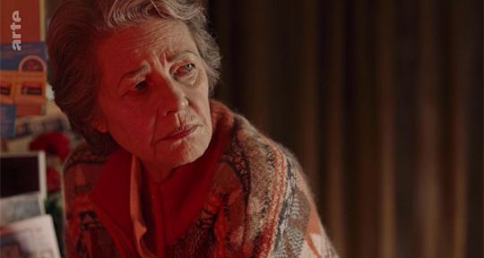 Kidnapping (Arte) : une histoire vraie pour Anders W.Berthelsen (The Killing) et Charlotte Rampling ?