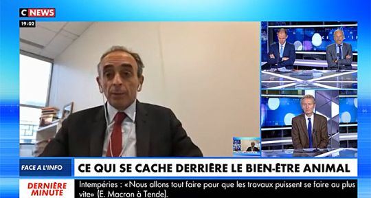 Face à l’info : Eric Zemmour arrêté, Christine Kelly chute