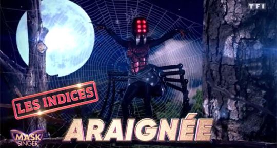 Mask Singer (TF1) : Qui est l’araignée ? Tous les indices dévoilés pour trouver la célébrité dans le costume