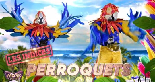 Mask Singer (TF1) : Qui sont les perroquets ? Tous les indices dévoilés pour trouver la célébrité dans le costume