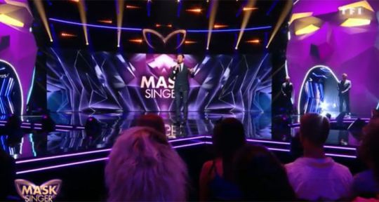 Programme TV de ce soir (samedi 7 novembre 2020) : Mask Singer sur TF1, Magellan sur France 3, PSG / Rennes sur Canal+, Compromis sur C8...