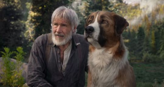 Programme TV de ce soir (jeudi 24 décembre 2020) : La Belle et le Clochard sur M6, Coup de foudre avec Santa sur Chérie 25, L’appel de la forêt sur Canal+…