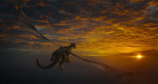 Programme TV de ce soir (vendredi 1er janvier 2021) : Les Misérables de Robert Hossein sur France 3, Peter et Elliott le dragon sur M6, Les secrets du château de Chenonceau...