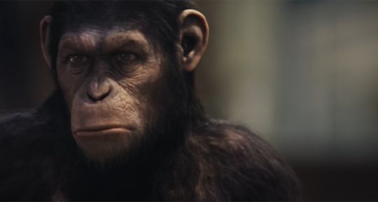 Programme TV de ce soir (vendredi 15 janvier 2021) : La chanson secrète sur TF1, Il était une fois Thalassa sur France 3, La planète des singes les origines sur C8…