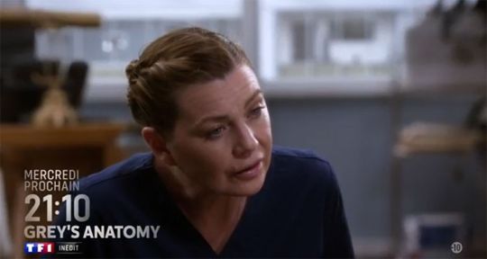 Programme TV de ce soir (mercredi 26 janvier 2022) : Grey’s Anatomy saison 17 (TF1), Une affaire de femmes (Arte), Nora Hamzawi en direct (TMC)...