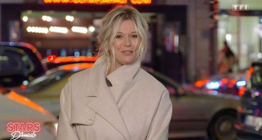 Programme TV  de ce soir (vendredi 25 février 2022) : 47e cérémonie des César (Canal+), Stars à domicile (TF1), Arthur et la vengeance de Maltazard (TF1 Séries Films)...