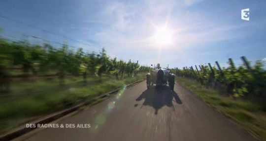 Des racines et des ailes : le lac Léman et les Vosges maintiennent le cap