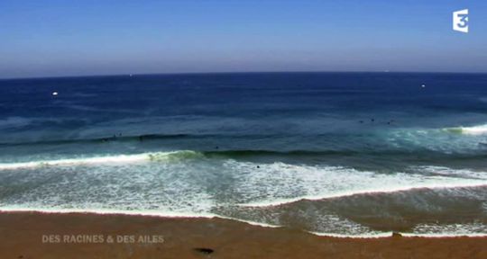 Des racines et des ailes : Le Morbihan fait repasser France 3 devant Qui est la taupe ?