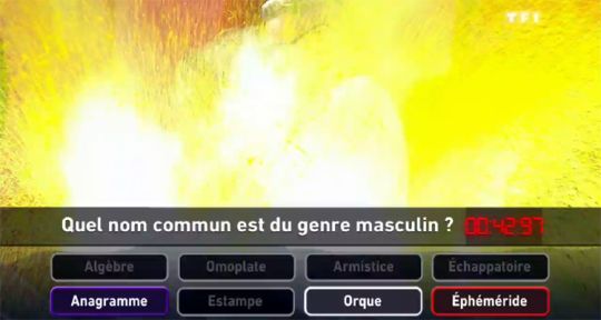 Boom : Vincent Lagaf’ réalise sa plus faible performance, mais TF1 reste leader