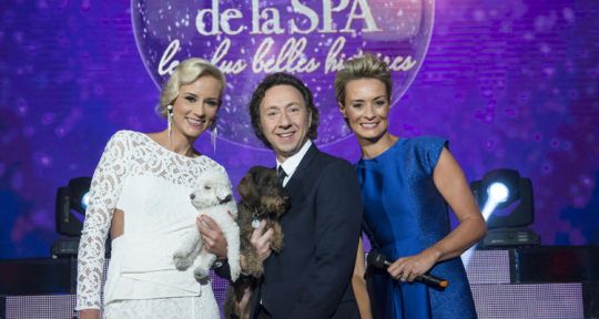 170 ans de la SPA : Keen’V, Jenifer et Jérémy Ferrari aux côtés de Stéphane Bern, Natacha Harry et Elodie Gossuin