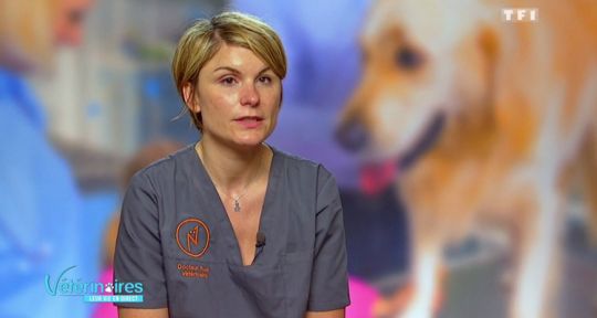 Vétérinaires, leur vie en direct : nouveau succès d’audience pour TF1