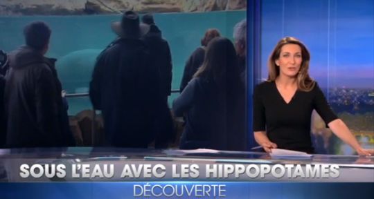 Audiences JT du dimanche 27 mars : Anne-Claire Coudray et Laurent Delahousse en difficulté à 13 heures, Nathalie Renoux en régression