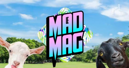 Le Mad Mag : Aurélie et Andréane critiquées, Julien règle ses comptes avec Vanessa Lawrens