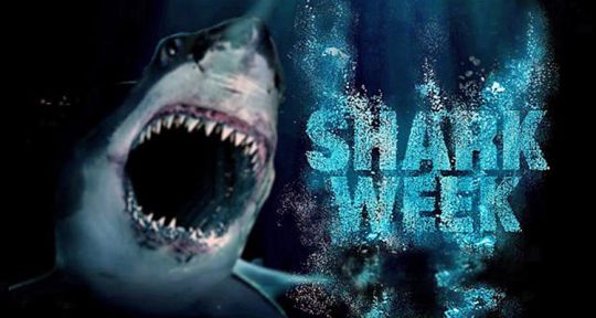 Shark Week 2016 : la visite de l’île des requins géants, Guadalupe, et les grands requins blancs
