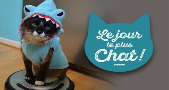 Le jour le plus chat : 6ter met le chat à l’honneur avec Catwoman et un bêtisier Lolcats