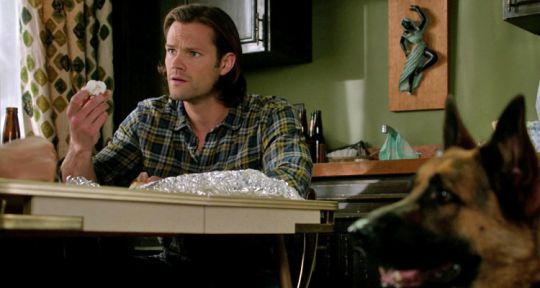 Supernatural : Sam et Dean tentent de communiquer avec un chien témoin d’un crime, audience en hausse pour M6