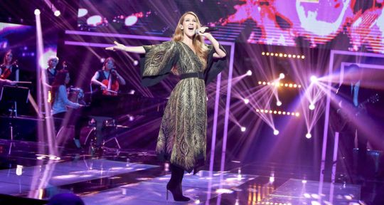 Le Grand Show de Céline Dion : Véronic DiCaire, Tal, M.Pokora, Jain, Amir, Claudio Capéo, Serge Lama ...