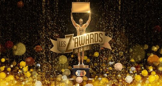 Les Z’awards de la TV 2016 : qui sont les plus sexy, les plus drôles prêts à succèder à Cyril Hanouna, Karine Ferri...