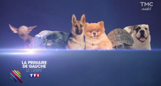 Quotidien : les candidats de la primaire de la gauche comparés à des animaux, Yann Barthès quasi stable